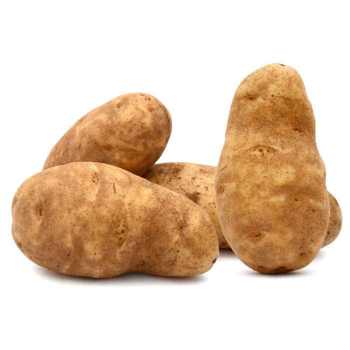 RUSSET POTATOES