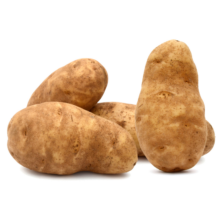 RUSSET  POTATOES