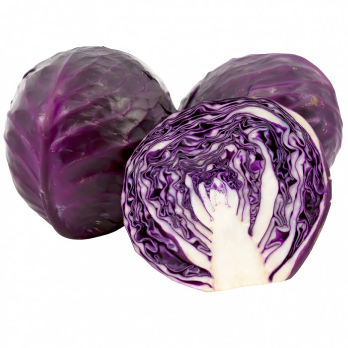 RED CABBAGE