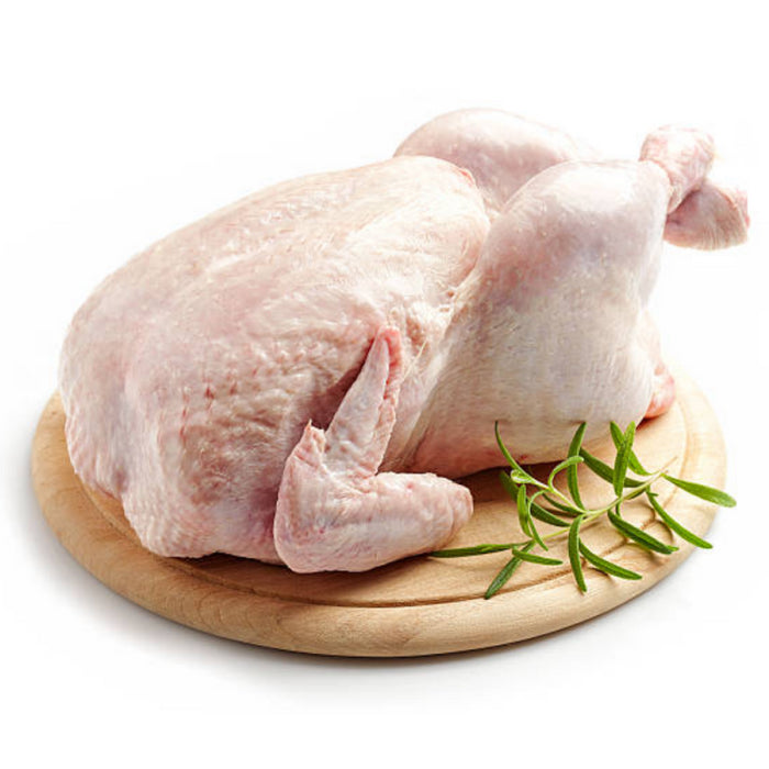 CHICKEN WHOLE