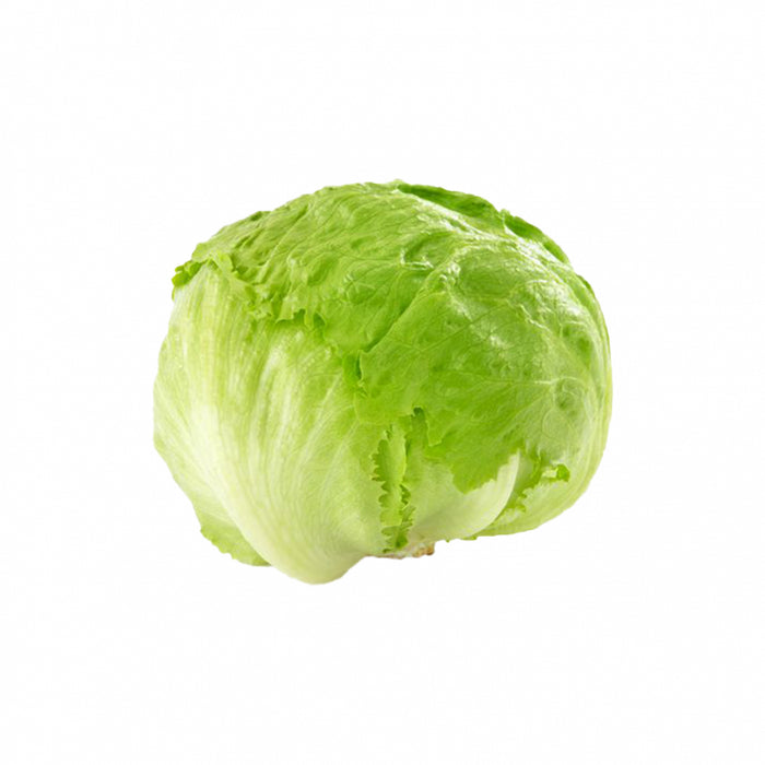 LETTUCE HEAD