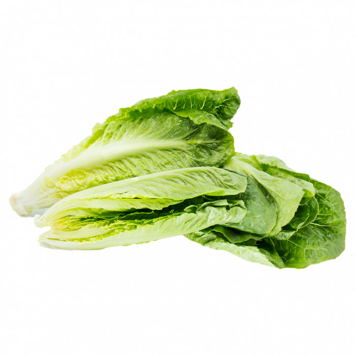 LETTUCE ROMAINE HEART