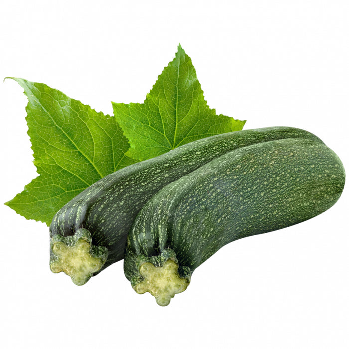 ZUCCHINI